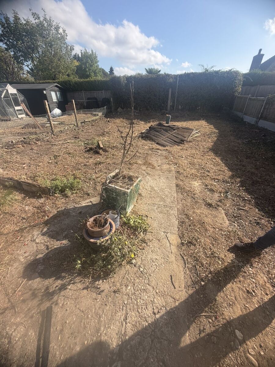 Garden fully cleared and prepared, ready for turfing